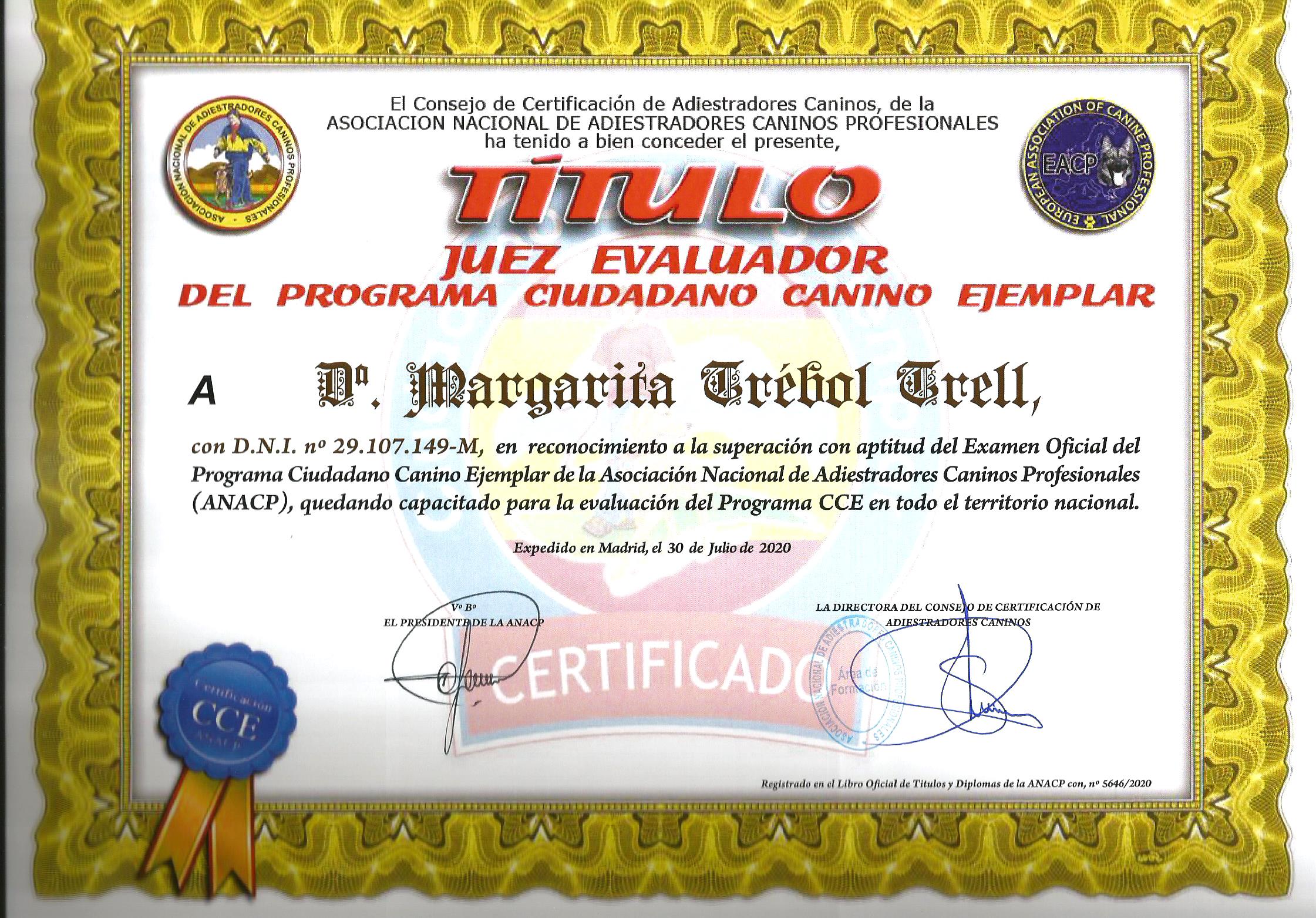 TITULO JUEZ CCE