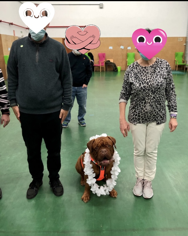 Perros-de-terapia Adiestramiento-canino-BEC-5