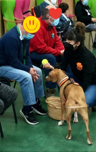 Perros-de-terapia Adiestramiento-canino-BEC-3